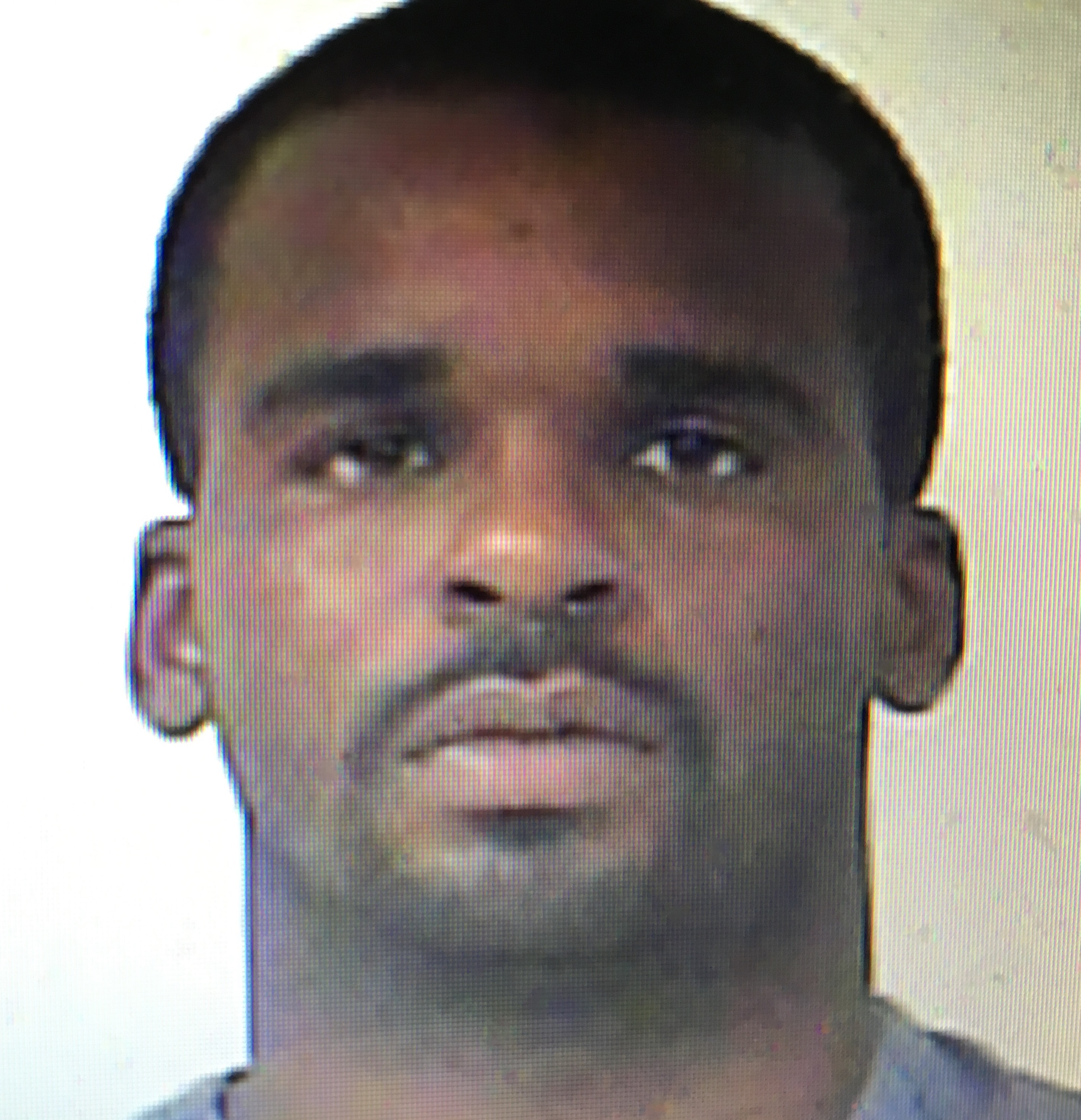 North port fl sex offenders