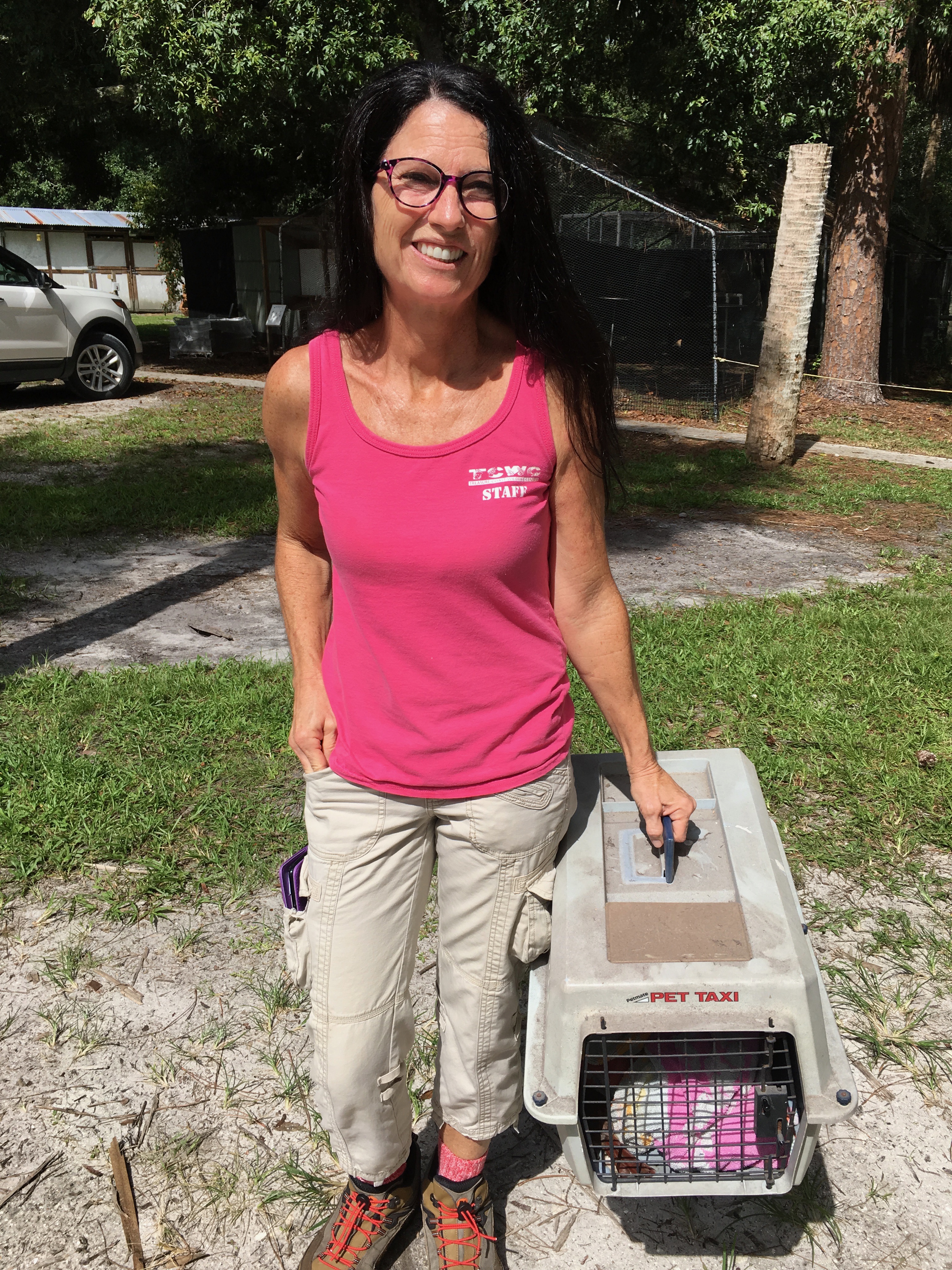 please support the treasure coast wildlife hospital treasure coast wildlife center