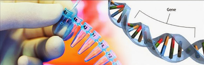 Genes