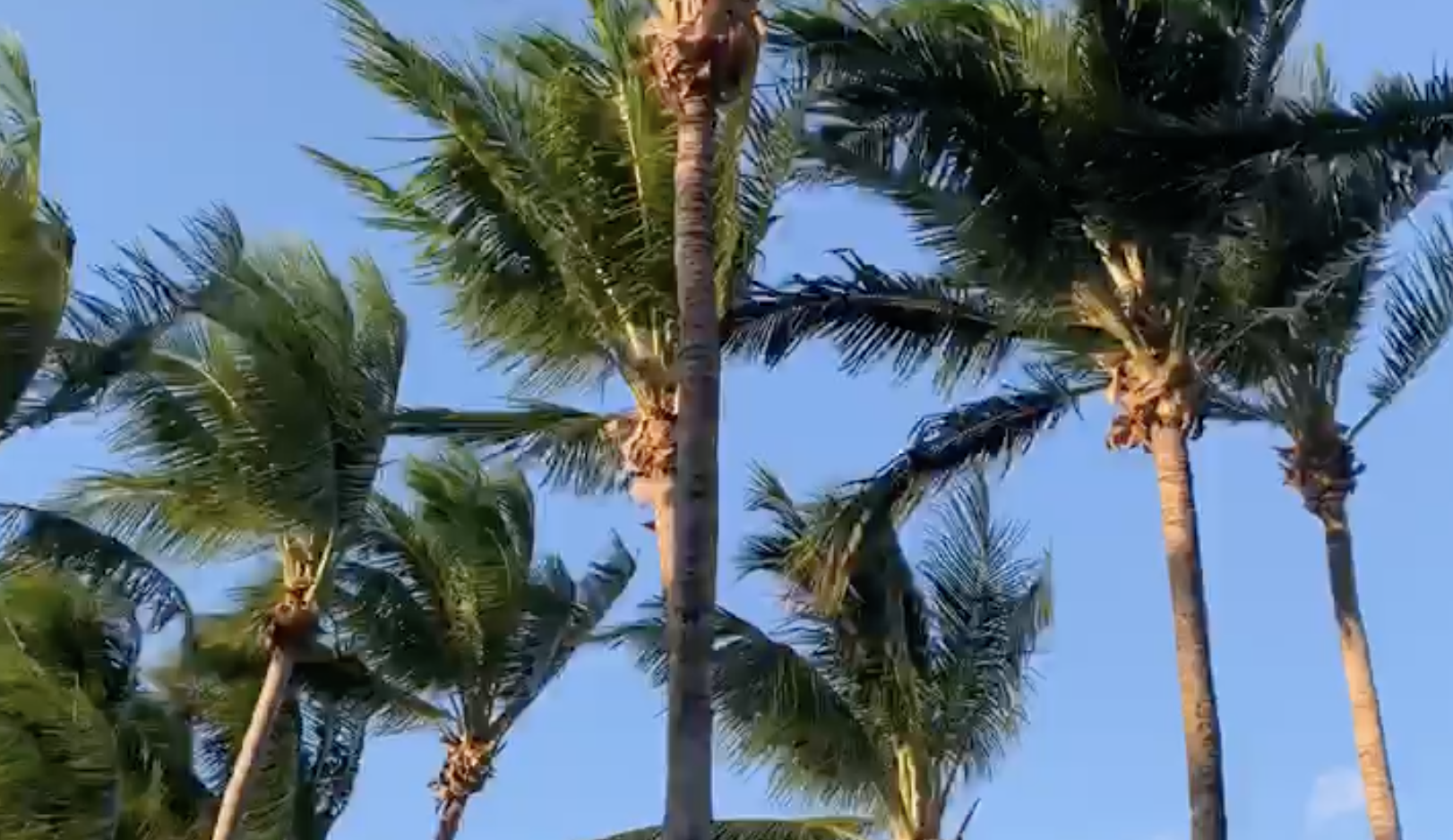 Our Treasured Coast ( Video) - Treasure Coast -Local News & Local Events