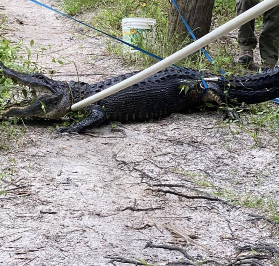 Tc_map_460 - Treasure Coast -Local News & Local Events