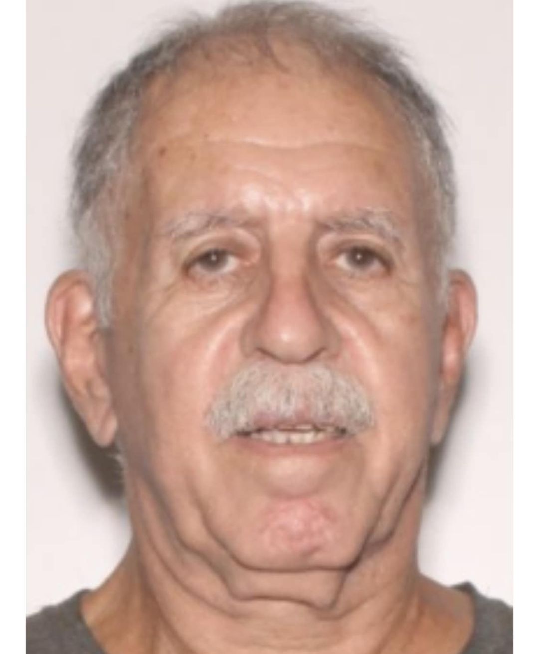 Martin Sheriff seeks public's assistance to locate MISSING 76 year old man